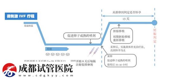 试管婴儿微刺激方案  微刺激方案适宜人群(图7)