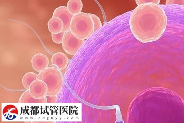 试管婴儿能不能怀孕主要看什么(图2)