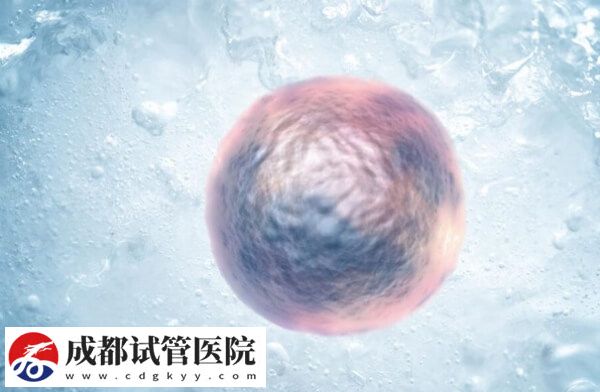 为什么不让单身女性冻卵