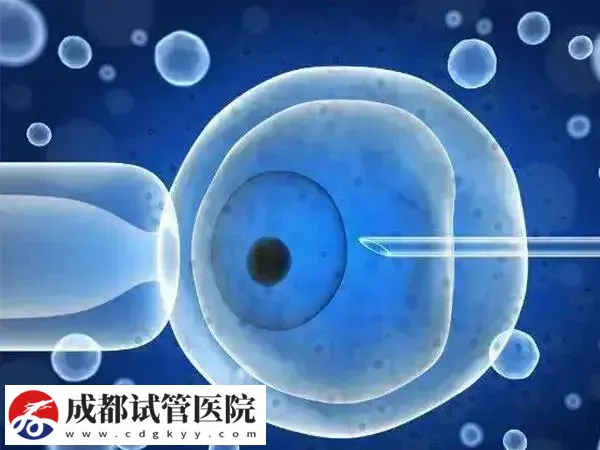 试管移植第五天有水流出是否算是成功(图2)