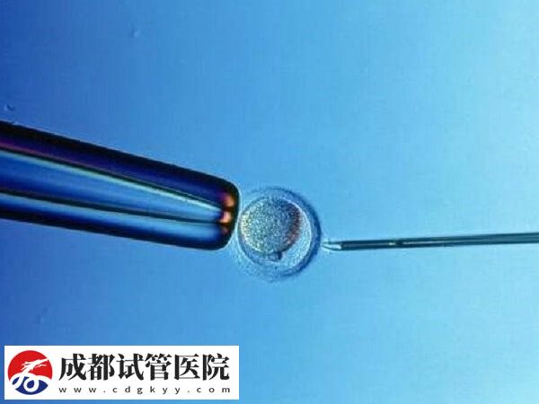 试管移植hrt方案成功率高不高