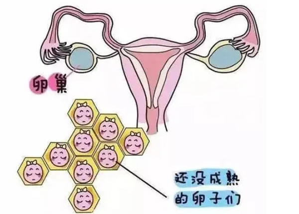 怀孕初期什么办法可以知道男女？测男女的偏方有哪些？(图1)